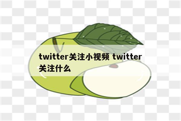 twitter关注小视频 twitter关注什么