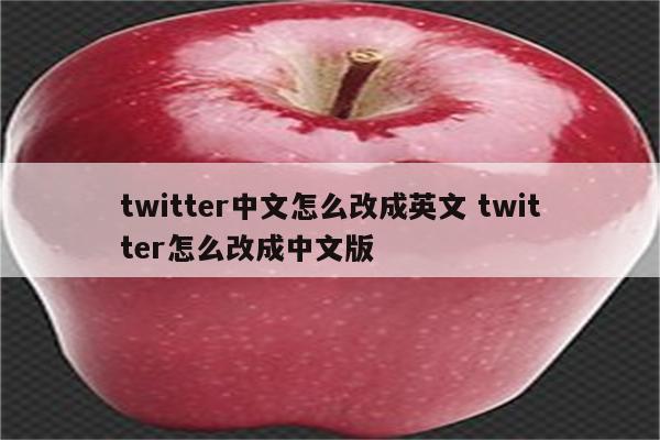 twitter中文怎么改成英文 twitter怎么改成中文版