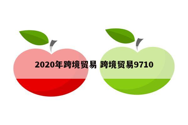 2020年跨境贸易 跨境贸易9710