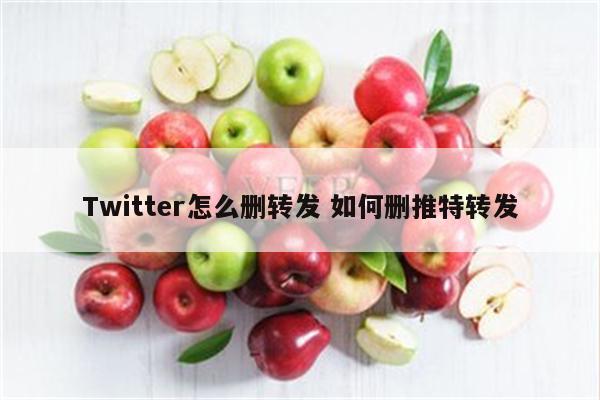 Twitter怎么删转发 如何删推特转发