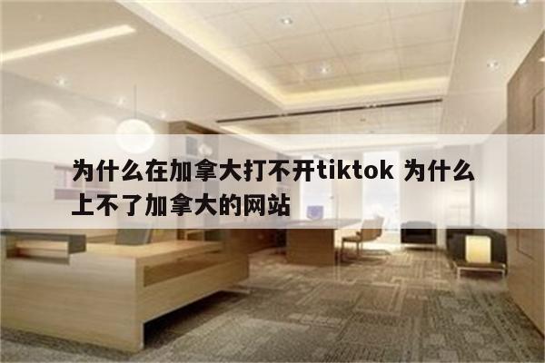 为什么在加拿大打不开tiktok 为什么上不了加拿大的网站