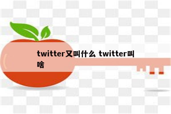 twitter又叫什么 twitter叫啥