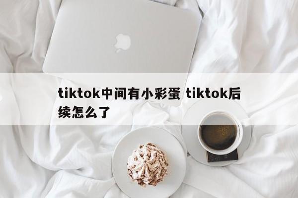 tiktok中间有小彩蛋 tiktok后续怎么了