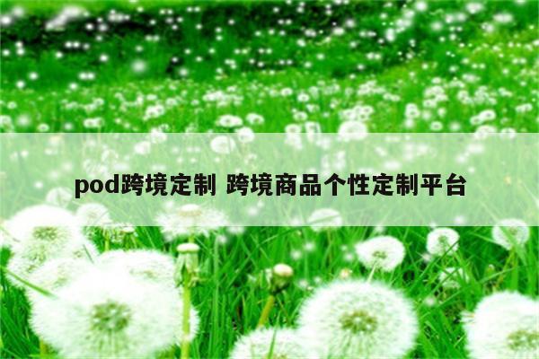 pod跨境定制 跨境商品个性定制平台