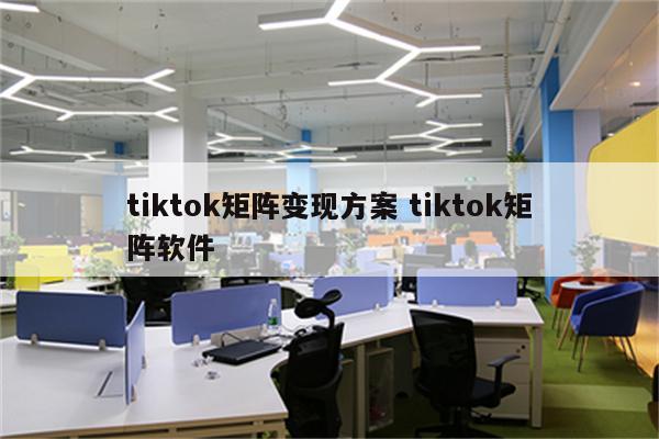 tiktok矩阵变现方案 tiktok矩阵软件