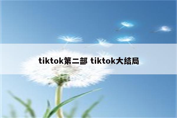 tiktok第二部 tiktok大结局