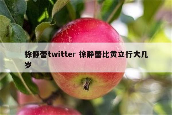 徐静蕾twitter 徐静蕾比黄立行大几岁