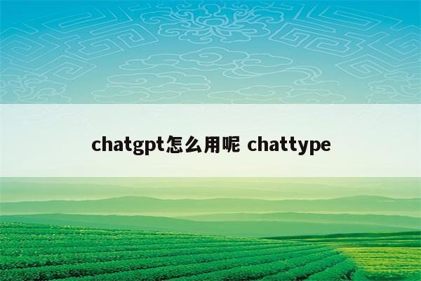 chatgpt怎么用呢 chattype