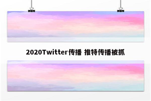 2020Twitter传播 推特传播被抓