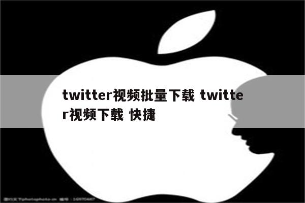 twitter视频批量下载 twitter视频下载 快捷