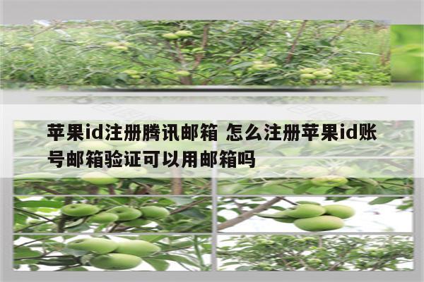 苹果id注册腾讯邮箱 怎么注册苹果id账号邮箱验证可以用邮箱吗