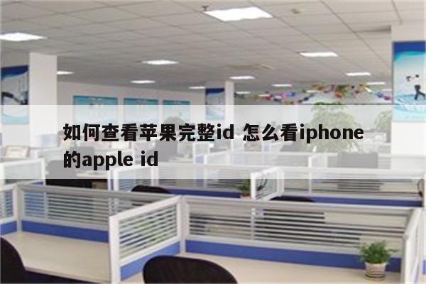 如何查看苹果完整id 怎么看iphone的apple id