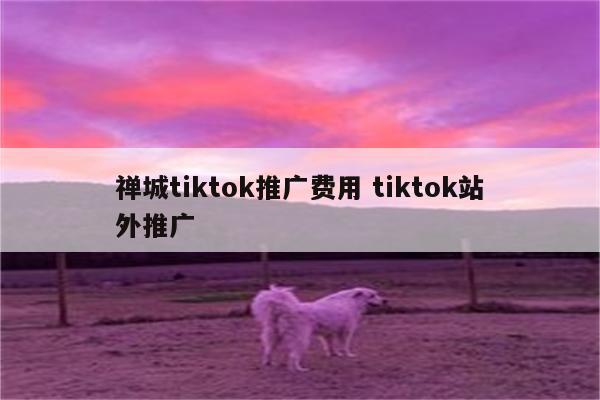 禅城tiktok推广费用 tiktok站外推广