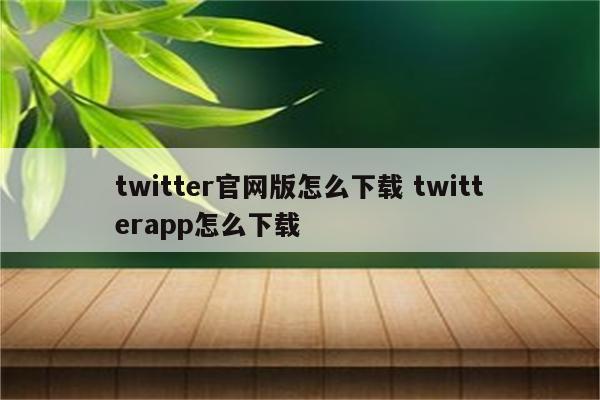 twitter官网版怎么下载 twitterapp怎么下载