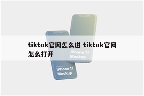 tiktok官网怎么进 tiktok官网怎么打开