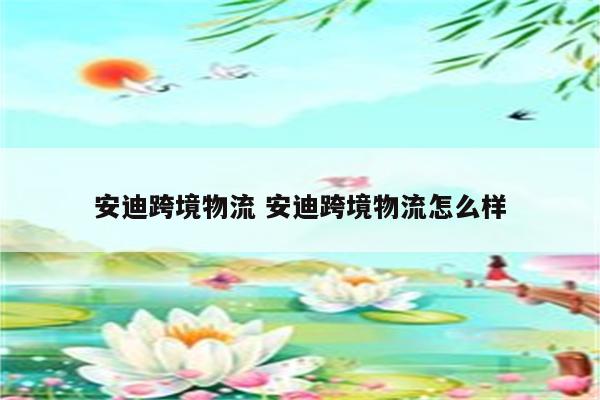 安迪跨境物流 安迪跨境物流怎么样