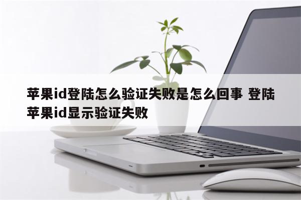 苹果id登陆怎么验证失败是怎么回事 登陆苹果id显示验证失败