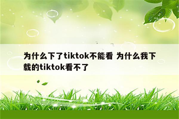 为什么下了tiktok不能看 为什么我下载的tiktok看不了