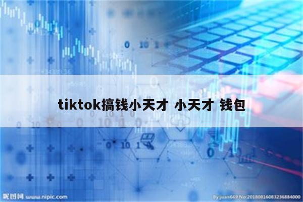tiktok搞钱小天才 小天才 钱包