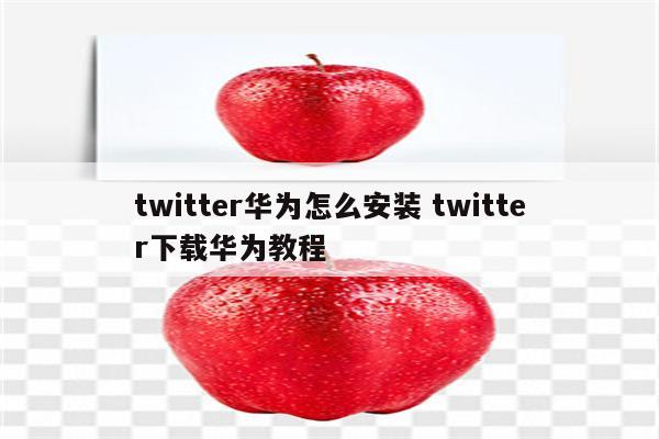 twitter华为怎么安装 twitter下载华为教程