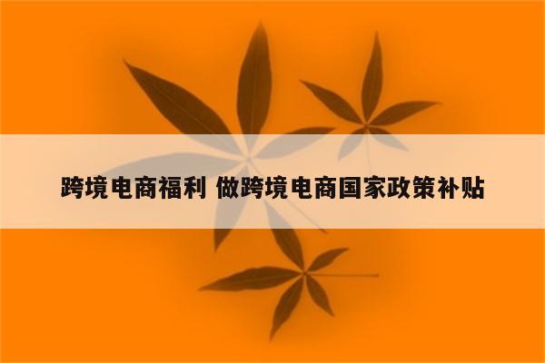 跨境电商福利 做跨境电商国家政策补贴