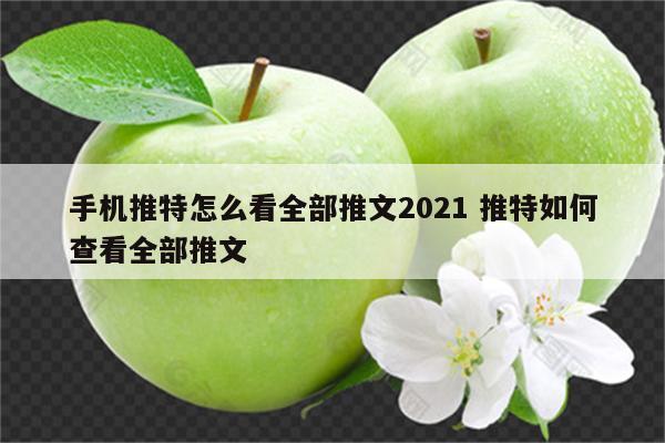 手机推特怎么看全部推文2021 推特如何查看全部推文