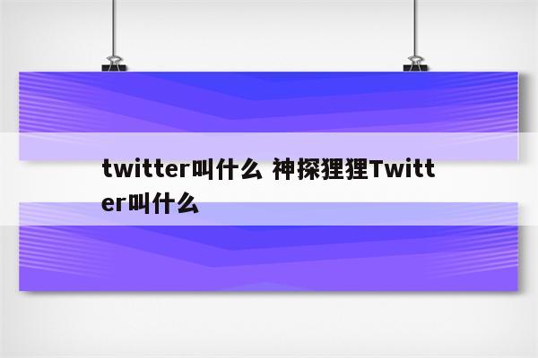 twitter叫什么 神探狸狸Twitter叫什么