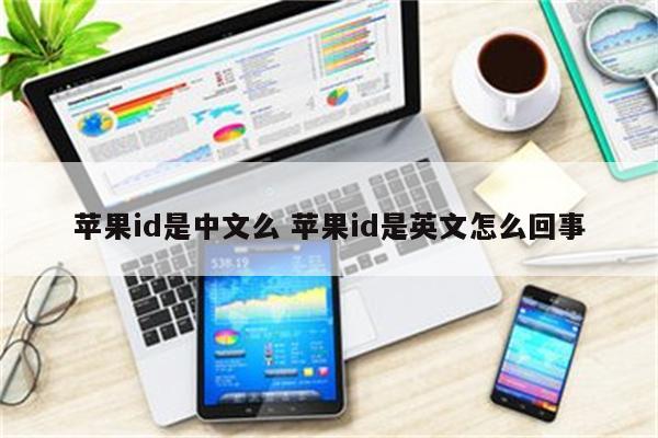 苹果id是中文么 苹果id是英文怎么回事