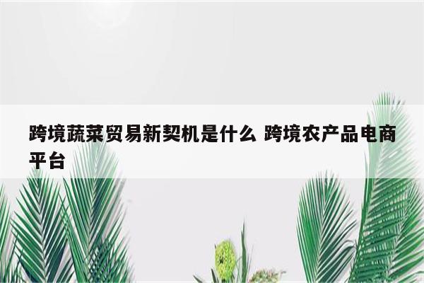 跨境蔬菜贸易新契机是什么 跨境农产品电商平台