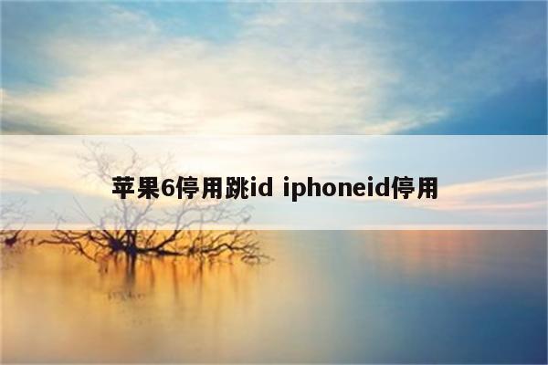 苹果6停用跳id iphoneid停用