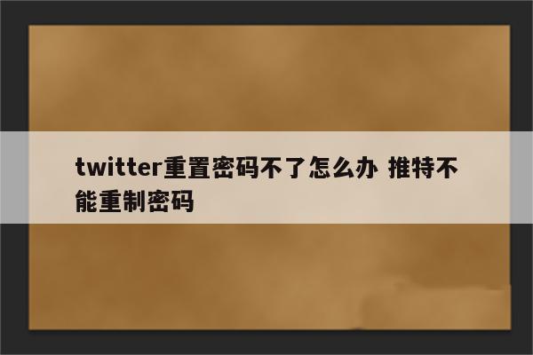 twitter重置密码不了怎么办 推特不能重制密码