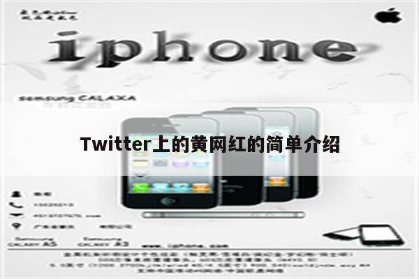 Twitter上的黄网红的简单介绍