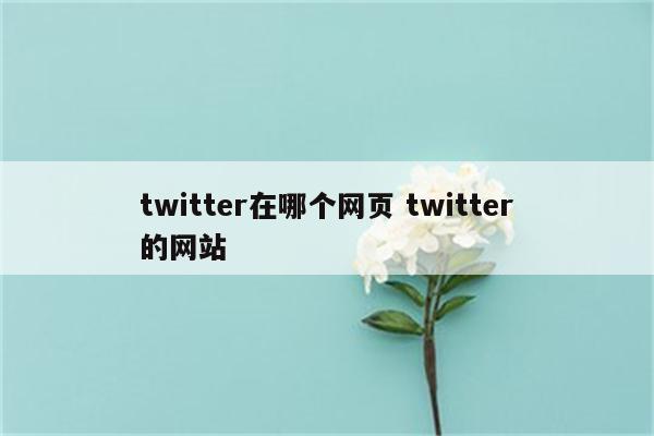 twitter在哪个网页 twitter的网站