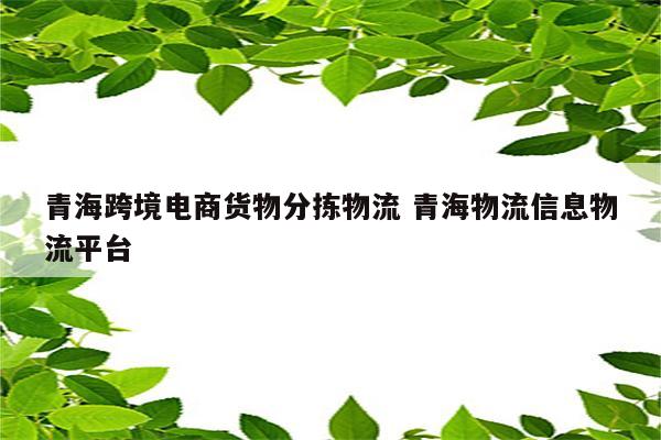 青海跨境电商货物分拣物流 青海物流信息物流平台