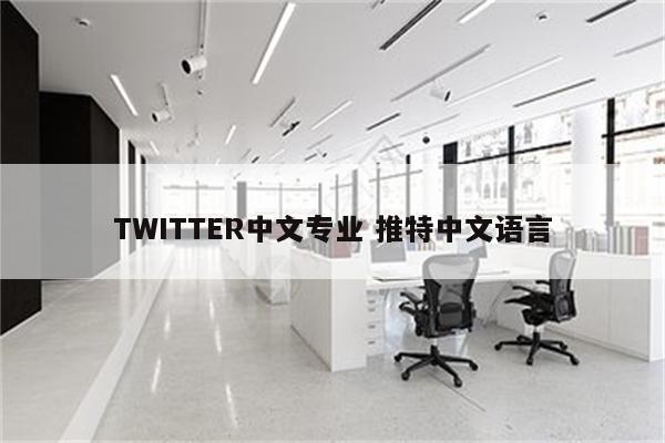 TWITTER中文专业 推特中文语言