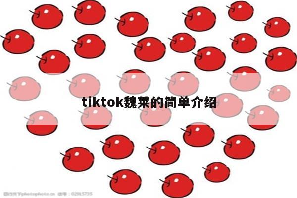 tiktok魏莱的简单介绍