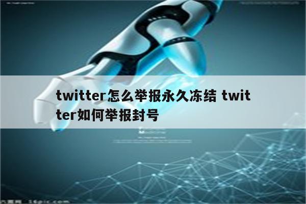 twitter怎么举报永久冻结 twitter如何举报封号