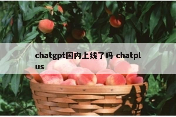 chatgpt国内上线了吗 chatplus