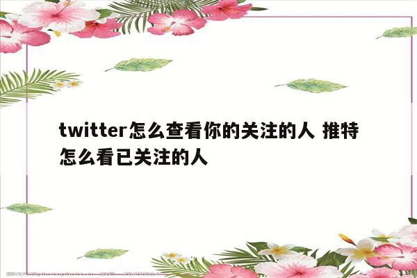 twitter怎么查看你的关注的人 推特怎么看已关注的人