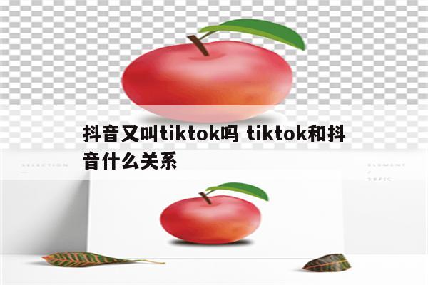 抖音又叫tiktok吗 tiktok和抖音什么关系