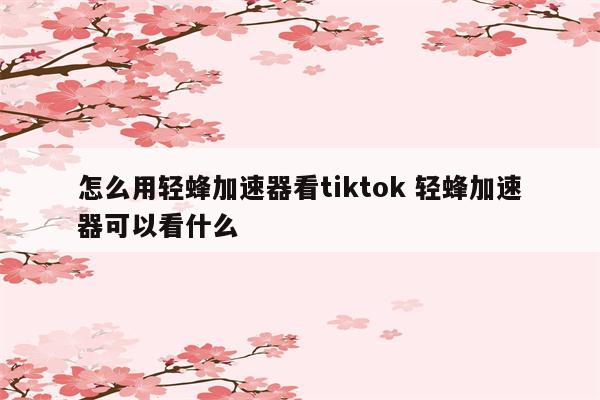 怎么用轻蜂加速器看tiktok 轻蜂加速器可以看什么