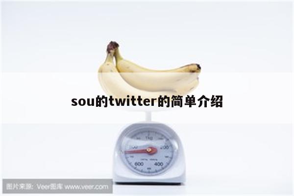 sou的twitter的简单介绍