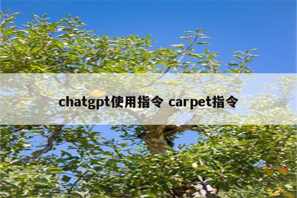 chatgpt使用指令 carpet指令