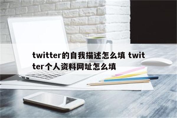 twitter的自我描述怎么填 twitter个人资料网址怎么填