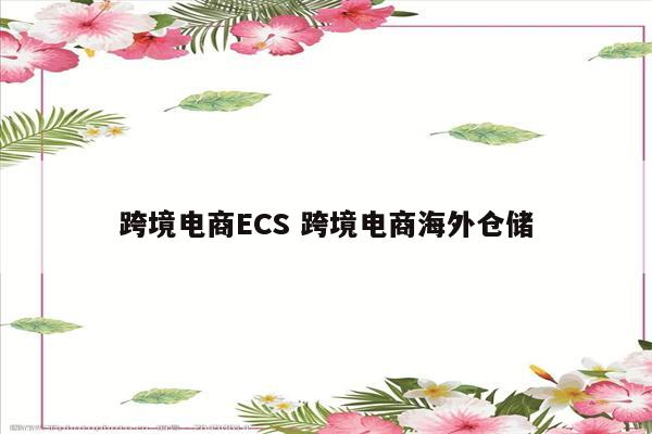 跨境电商ECS 跨境电商海外仓储