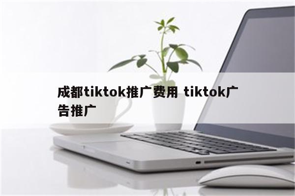 成都tiktok推广费用 tiktok广告推广