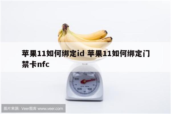 苹果11如何绑定id 苹果11如何绑定门禁卡nfc