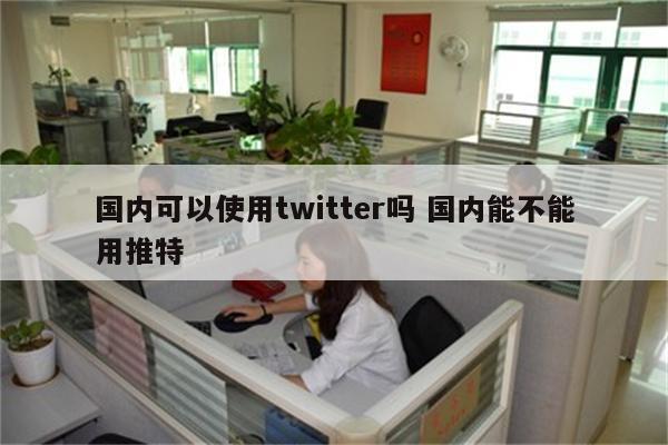 国内可以使用twitter吗 国内能不能用推特