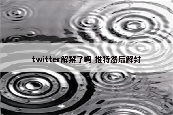 twitter解禁了吗 推特然后解封