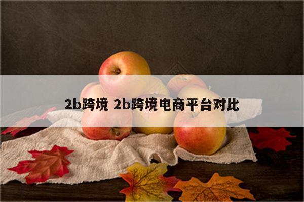 2b跨境 2b跨境电商平台对比